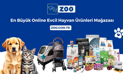 Kedi Maması ve Pet Shop ürünleri Zoo.com.tr’de uygun fiyatlarla!