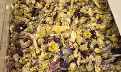 Kışa hazırlık: Zencefil ve propolisli ürünlere yoğun talep