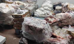 Gıda skandalı, 17 ton bozuk et ele geçirildi