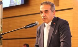 Türkiye, dünya zeytinyağı üretiminde ikinci sırada