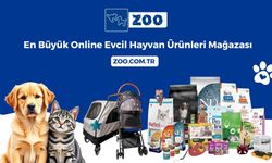 En kaliteli kedi ve köpek mamaları Zoo.com.tr’de satışta!