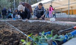 İzmir’de mahalle bostanlarında kış mesaisi başladı: 254 kadın üretiyor