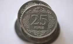 Elinde 25 Kuruş olan turnayı gözünden vurdu: Değeri 34 Bin 871 TL’ye kadar çıkıyor