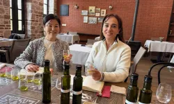 Türk zeytinyağı Uzak Doğu yolcusu: Nakamura’dan özel karışım