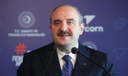 Varank: Türkiye'nin sıkıntısı sağlıklı muhalefet