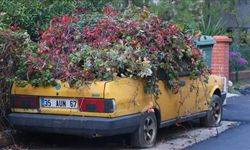 İzmir’de 8 yıldır hareket ettirilmeyen otomobil sarmaşıklar içinde çekiciyle götürüldü