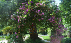 EÜ Botanik Bahçesi, 100 yeni türle bilim literatürüne katkı sağladı