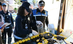 Kuşadası’nda sokak lezzetleri için sıkı denetim