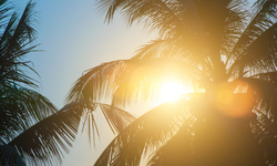 17 Kasım Pazartesi İzmir hava durumu| Saat saat açıklandı