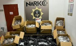 İzmir'de yasaklı madde operasyonu