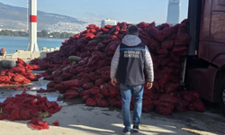 İzmir'de 27 ton kara midye ele geçirildi