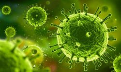 Mutasyona uğramış grip Türkiye için tehlike oluşturur mu?