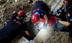 İzmir itfaiyesinden hayvan kurtarma operasyonu