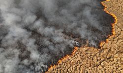 Nehil Sazlığı’ndaki yangın 4 gün sonra söndürüldü