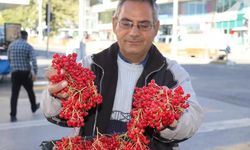 “Gençlik iksiri” gilaburu tezgâhlarda yerini aldı