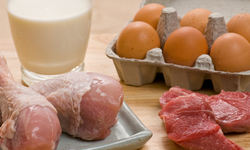 Tavuk eti üretimi düştü, yumurta üretimi arttı