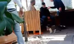 İzmir’de taksi şoförüne hırsızlık dayağı: Meslektaşları durağın ortasında linç etti