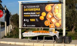 Güzelbahçe’de güven ve dayanışma esaslı uygulama: Mandalinanı tart, parasını kutusuna at