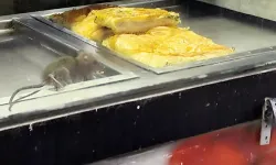 İzmir’de hijyen skandalı: Börek vitrininde fare görüntülendi, işletme mühürlendi