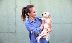 Karşıyaka Belediyesi’nden can dostlara şefkat eli: 1 yılda 40 bin hayvana destek