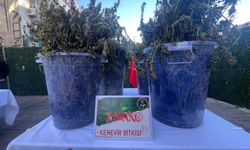 İzmir’de 3 milyon 166 bin sentetik ecza ele geçirildi