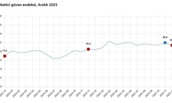 Tüketici güven endeksi aralık ayında geriledi