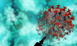 İngiltere’de mpox virüsünün yeni varyantı tespit edildi