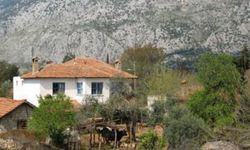 Bergama'da kardeşiyle mantar toplamaya giden kişi ormanda kayboldu