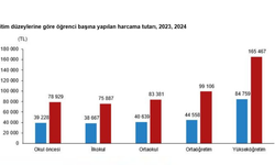TÜİK: Eğitim harcamaları 2024’te yüzde 94,6 arttı