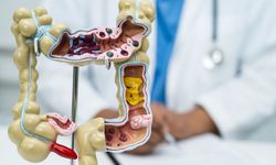 Bağırsak sağlığı uzun yaşamın anahtarı olabilir