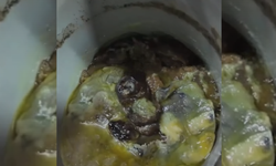 Bakkaldan mide bulandıran görüntüler