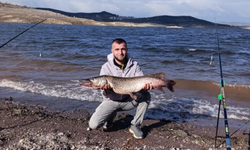 Çaygören Barajı’nda 8 kiloluk dev sazan balığı yakalandı