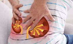 Böbrek taşı tedavisinde kişiye özel yöntem dönemi