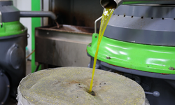 Buca’da zeytin hasadı dayanışma için başladı