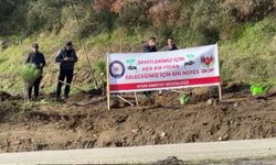 33 şehit için 333 fidan toprakla buluştu