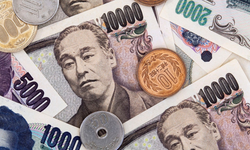 Japon evlerinden çıkan dev ekonomi: 580 milyar dolar saklı