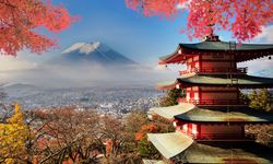 Yalnızlık hizmete dönüştü: Sadece Japonya’da var olan 7 sıra dışı uygulama