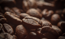 Türk işletmeci dünyanın en pahalı kahvesini üretti, bir fincan kahve 1000 Dolar