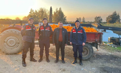 Bahçeden çalınan 1,5 ton portakal satılamadan ele geçirildi