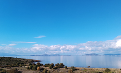 Çeşme Reisdere'de kıyı yağması; doğal sit alanına yüzde 95 oranında konut tehlikesi