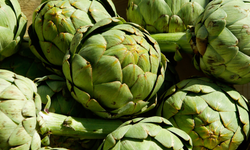 İzmir Büyükşehir Belediyesi'nin tarım girişimleri, ödül alma yolunda ilerliyor