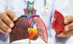 Zatürre ciddi risk taşıyan ve yüksek ölüm oranı görülen bir hastalık