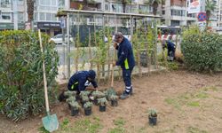 İzmir’de duraklar yeşile bürünüyor: Yeşil Durak projesiyle kent estetiğine doğa dokunuşu