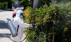 Karşıyaka Belediyesi’nden kışa özel ilaçlama seferberliği