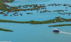 İzmir’de yarıyıl tatiline deniz ve doğa damgası: Flamingodan yelkene dolu dolu program