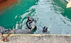 İzmir Büyükşehir Belediyesi'nden nefes kesen kurtarma: Sıkışan kedi sağ salim kurtarıldı