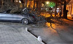 Bornova’da şiddetli rüzgâr dehşeti: Ağaç otomobilin ve düğün salonunun üzerine devrildi