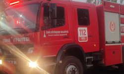 Bayındır’da ev ve hayvan damında yangın