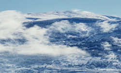 Ödemiş ormanları karla beyaza büründü