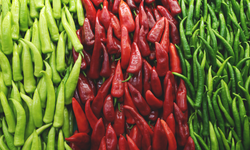 2025’te Batı Akdeniz’in ihracat lideri belli oldu